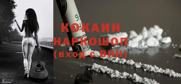 эйфоретик Арсеньев