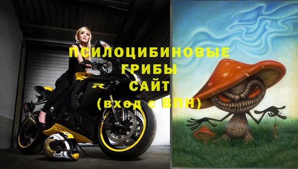 эйфоретик Арсеньев