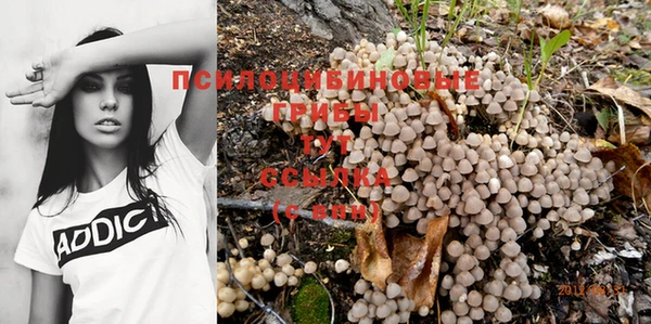 эйфоретик Арсеньев