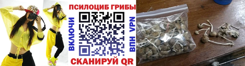 Псилоцибиновые грибы Cubensis  Купить закладки  Новоалександровск 